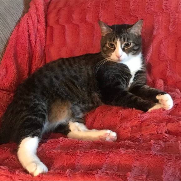 Meet your Posher, Beth - Picture 3 of 3